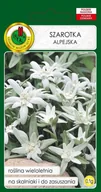 Nasiona i cebule - Szarotka Alpejska 0.1 g PNOS - miniaturka - grafika 1