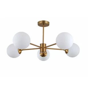 Roma lampa sufitowa 5-punktowa złota LP-1345/5P GD - Lampy sufitowe - miniaturka - grafika 1