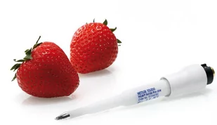 Mettler Toledo elektroda InLab Solids Pro-ISM 51343155 do żywności - Akcesoria do urządzeń pomiarowych - miniaturka - grafika 1
