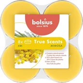 Świece - Bolsius True Scents Podgrzewacz zapachowy Maxi Mimosa 8szt - miniaturka - grafika 1