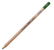 Kredki, ołówki, pastele i pisaki - Bruynzeel Design Pastel /o Kredka 96 Sap Green - miniaturka - grafika 1