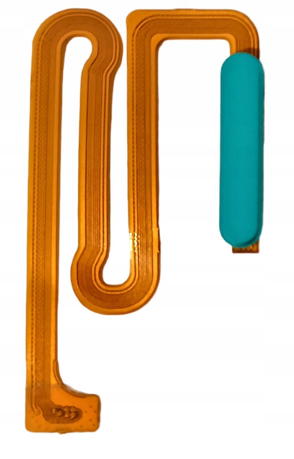 TAŚMA PRZYCISK POWER CZYTNIK LINII PAPILARNYCH DO SAMSUNG M12 ZIELONY 5904858317547