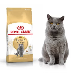 Royal Canin British Shorthair Adult 34 drób 4 kg - Mokra karma dla kotów - miniaturka - grafika 1