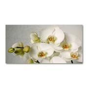 Foto gadżety - Foto obraz szkło hartowane Biała orchidea - miniaturka - grafika 1