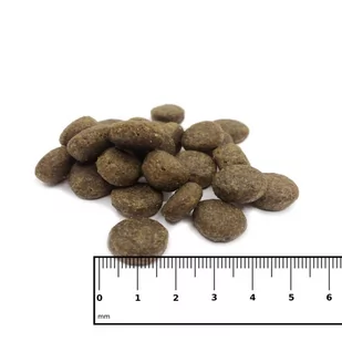 ICEPAW Scandic duck dzika kaczka karma dla dorosłych psów (2 kg) - Sucha karma dla psów - miniaturka - grafika 2