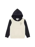 Bluzy dla chłopców - TOM TAILOR Chłopięca bluza z kapturem Colorblock z nadrukiem, 10668-sky Captain Blue, 92-98 - miniaturka - grafika 1