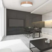 Lampy sufitowe - Euluna Lampa sufitowa Cleo 400 40cm miedziana - miniaturka - grafika 1