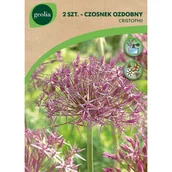 Nasiona i cebule - Czosnek Christophii 12/14 2szt. Cebulki kwiatów Geolia - miniaturka - grafika 1