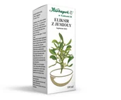 Serce i układ krążenia - Eliksir z jemioły, płyn, 100 ml Duży wybór produktów | Dostawa kurierem DHL za 8.90zł !!!| Szybka wysyłka do 2 dni roboczych! | 3287461 - miniaturka - grafika 1