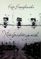 Poezja - Niebospiecznik - miniaturka - grafika 1