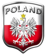 Akcesoria motoryzacyjne - NAKLEJKA WLEP NA AUTO SAMOCHÓD  WLEPKA ALUMINIOWA WYPUKŁA POLAND GODŁO  8 x 7cm 2/33281 - miniaturka - grafika 1