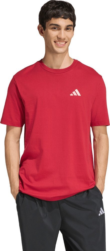 Adidas Koszulka męska adidas Outdoor Mountain Biking Graphic czerwona KB2538 XL