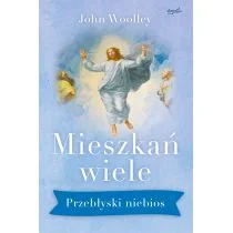 ks. John Woolley Mieszkań wiele Przebłyski niebios - Religia i religioznawstwo - miniaturka - grafika 2