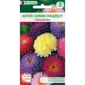 Nasiona i cebule - Aster chiński książęcy mieszanka W.Legutko - miniaturka - grafika 1