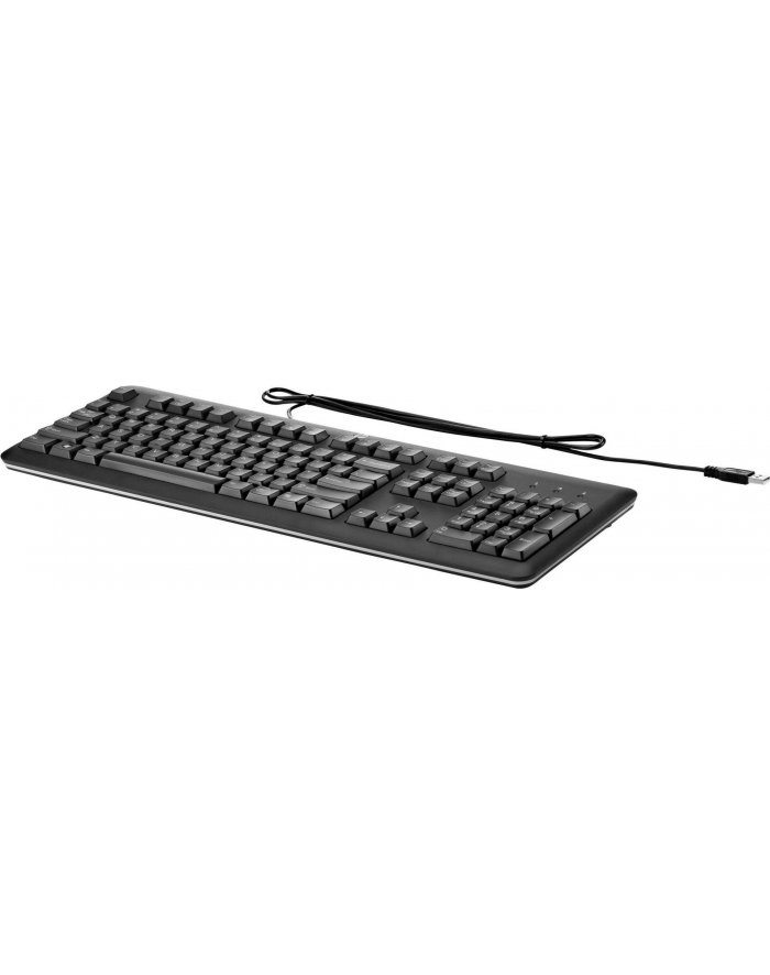 hp inc. HP Klawiatura USB Keyboard 2013 black design QY776AA#ABB
