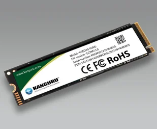iStorage KSED30-NVME-1T 1 TB - Dyski SSD - miniaturka - grafika 1
