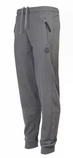Spodnie Dresowe Szare z Kieszonkami na Zamek, Sportowe, Męskie, ze Ściągaczami -PAKO JEANS - Pako Jeans - Spodnie męskie - miniaturka - grafika 1