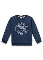 Bluzy dla chłopców - Sanetta bluza chłopięca, Blue Air, 104 - miniaturka - grafika 1