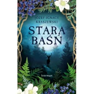 Powieści historyczne i biograficzne - stara baśń - miniaturka - grafika 1