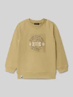 Swetry dla chłopców - Bluza o kroju regular fit z nadrukiem z motywem - miniaturka - grafika 1