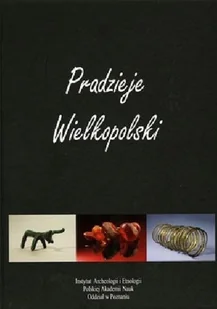 Pradzieje Wielkopolski Od epoki kamienia do średniowiecza - Historia świata - miniaturka - grafika 1
