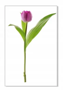 Naklejka ścienna kwiaty kwiatki 30cm Tulipan 6, 30x20 cm - Naklejki na ścianę - miniaturka - grafika 1