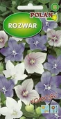 Nasiona i cebule - Rozwar wielkokwiatowy Mix 0.2 g POLAN - miniaturka - grafika 1