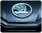 Podkładki pod mysz - PODKŁADKA POD MYSZKĘ SKODA Z IMIENIEM 23x19CM DO LAPTOPA - miniaturka - grafika 1