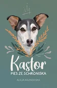 Baśnie, bajki, legendy - NOWA BAŚŃ Kastor. Pies ze schroniska - Alicja Kalinowska - miniaturka - grafika 1