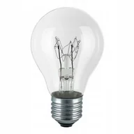 Żarówki tradycyjne - Żarówka wysokotemperaturowa 200W E27 A65 WST-2657 - miniaturka - grafika 1