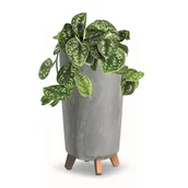 Donice - Donica wysoka okrągła 19,5 cm Beton szary - miniaturka - grafika 1