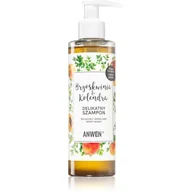 Szampony do włosów - Anwen Anwen Szampon Brzoskwinia i Kolendra do suchej wrażliwej skóry głowy 200ml - miniaturka - grafika 1