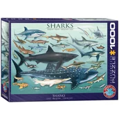 Puzzle - Eurographics Puzzle 1000 Sharks 6000-0079 - - miniaturka - grafika 1