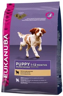 Eukanuba Puppy Junior Jagnięcina 2,5 kg - Sucha karma dla psów - miniaturka - grafika 1