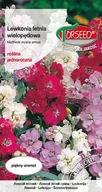 Nasiona i cebule - Nasiona Lewkonia letnia Varsovia mix kolorów o błyszczących liściach 0,5g - Torseed - miniaturka - grafika 1