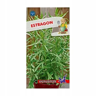 Estragon 0,2g / O / - Nasiona i cebule - miniaturka - grafika 1