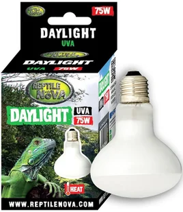 REPTILE NOVA Żarówka Grzewcza Uva - Reptile Nova Daylight 75W - Akcesoria do terrarium - miniaturka - grafika 1