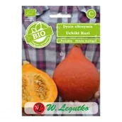 Nasiona i cebule - Legutko Dynia olbrzymia nasiona BIO Uchiki Kuri - miniaturka - grafika 1