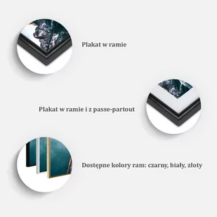 Plakat - Banksy: Washing Zebra Stripes (rozmiar 90x60, wykończenie Rama złota z passe-partout) - Plakaty - miniaturka - grafika 1