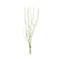Sztuczne kwiaty - Gałązka Leszczyny 50cm light green, 10 x 10 x 50 cm - miniaturka - grafika 1
