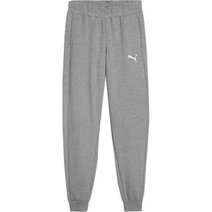 Spodnie sportowe chłopięce Puma Team Goal - Odzież sportowa dziecięca - miniaturka - grafika 1