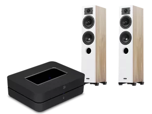Bluesound POWERNODE (czarny) + Diva 5 (dąb) - Zestawy stereo - miniaturka - grafika 1