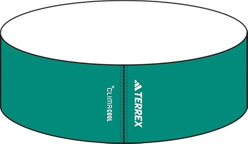 adidas Uniseks TERREX CLIMACOOL HEADBAND, pure teal/white, L
