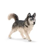 Zabawki kreatywne - Schleich Figurka "Husky" do zabawy - 3+ - miniaturka - grafika 1