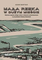 E-booki - nauka - Mała rzeka w dużym mieście. Wybrane aspekty obiegu wody na obszarze zurbanizowanym na przykładzie łódzkiej Sokołówki - miniaturka - grafika 1