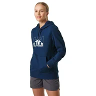 Bluzy damskie - Bluza z kapturem damska Helly Hansen Nord Graph Pullover Hoodie - miniaturka - grafika 1