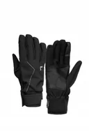 Rękawice narciarskie - Rękawice narciarskie Diver X R Tex Xt Touch Tec - miniaturka - grafika 1