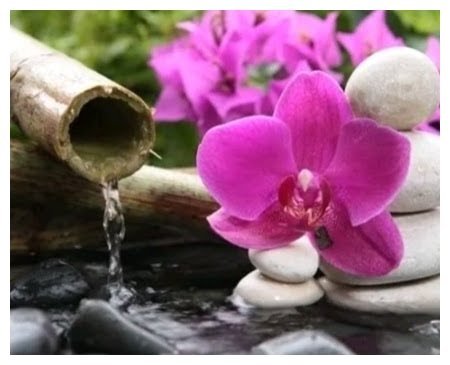 DIAMENTOWA PASJA Haft Diamentowy Obraz Diamentowy Mozaika Diamentowa STORCZYK KWIATY