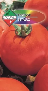 Pomidor gruntowy Betalux 0.5 g SPÓJNIA - Nasiona i cebule - miniaturka - grafika 1
