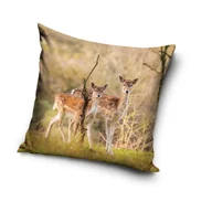 Pościel - Poszewka Mikrofibra 40x40 Dekoracyjna SARENKI - miniaturka - grafika 1